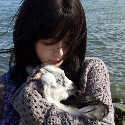 我亲爱的怪物伙伴